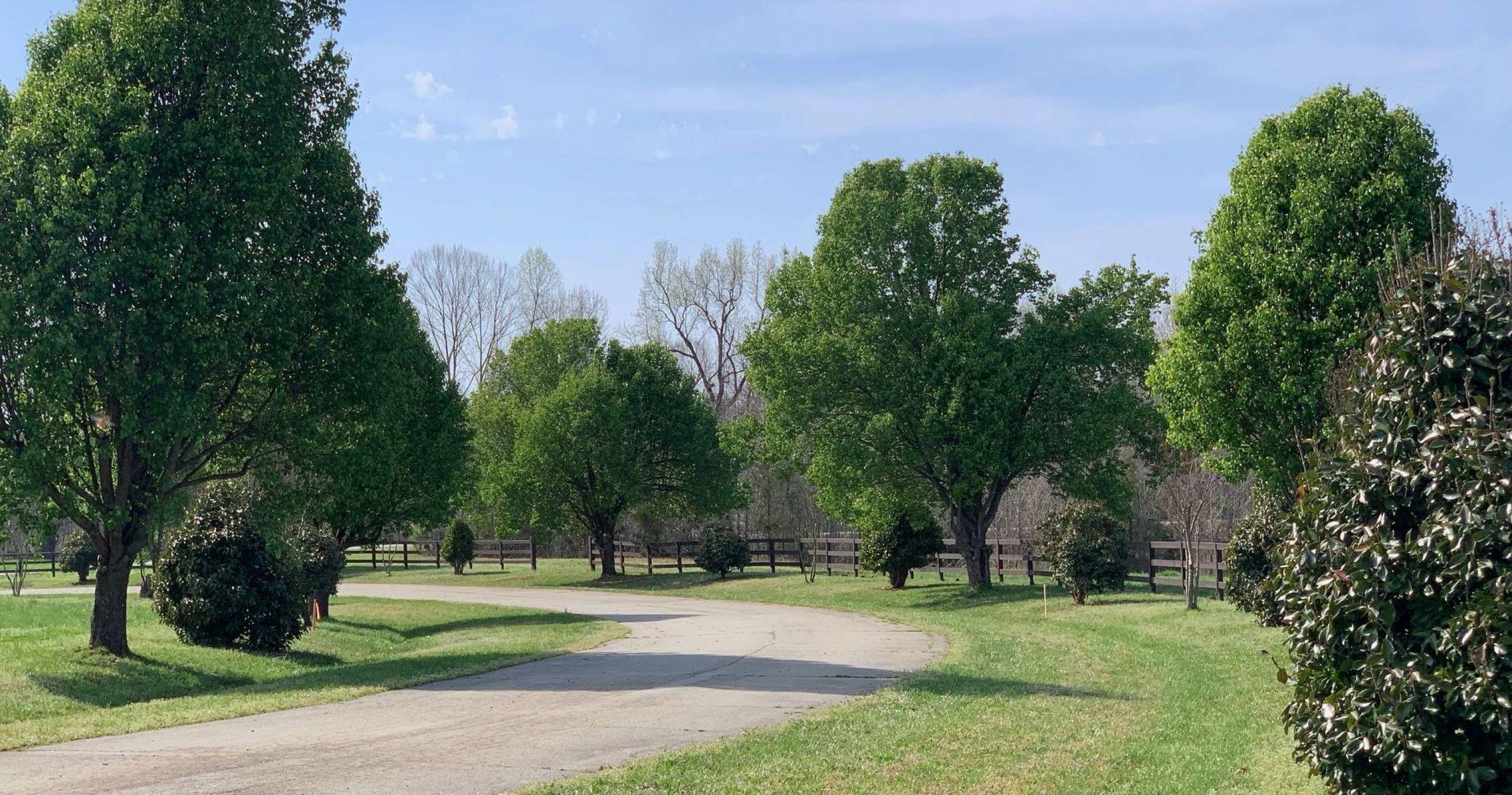 Picture of Emilee Collins, CCIM